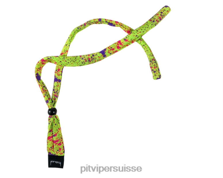 vipère suisse 8L2Z6258 gréement de 1993