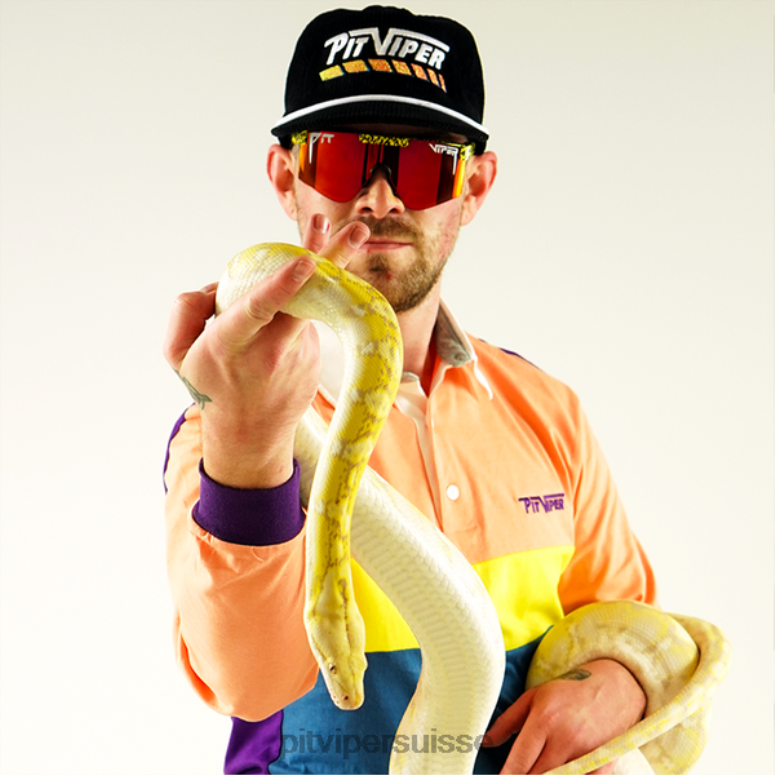 vipère suisse 8L2Z6105 le carnivore des années 2000