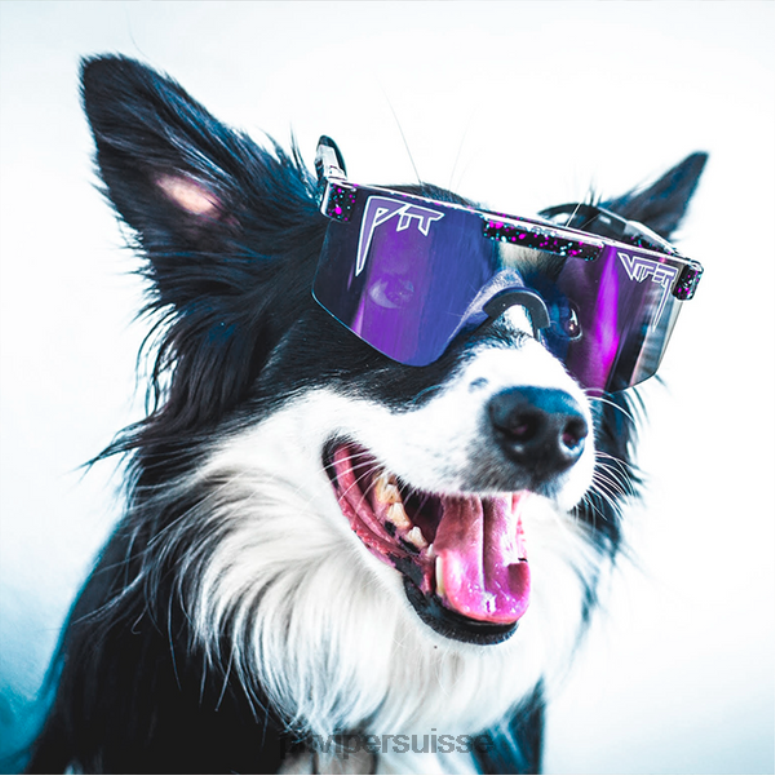 vipère suisse 8L2Z6115 lunettes de soleil polarisées la tombée de la nuit