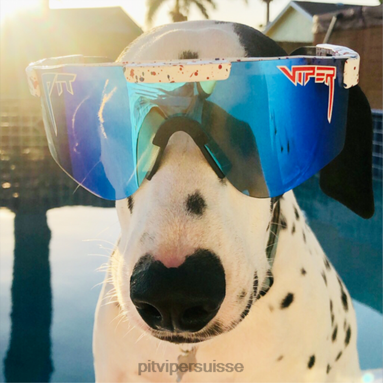 vipère suisse 8L2Z6121 les lunettes de soleil polarisées double largeur absolue liberté