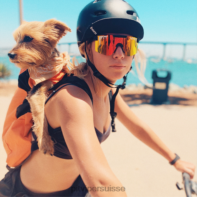 vipère suisse 8L2Z6123 les lunettes de soleil polarisées mystère