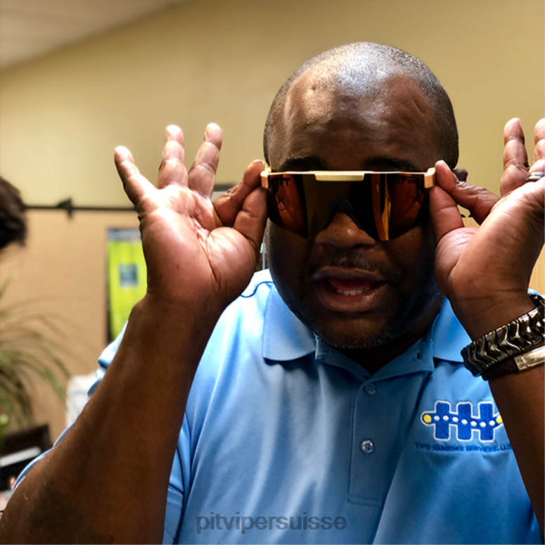 vipère suisse 8L2Z6134 l\'étalon-or polarisé double largeur