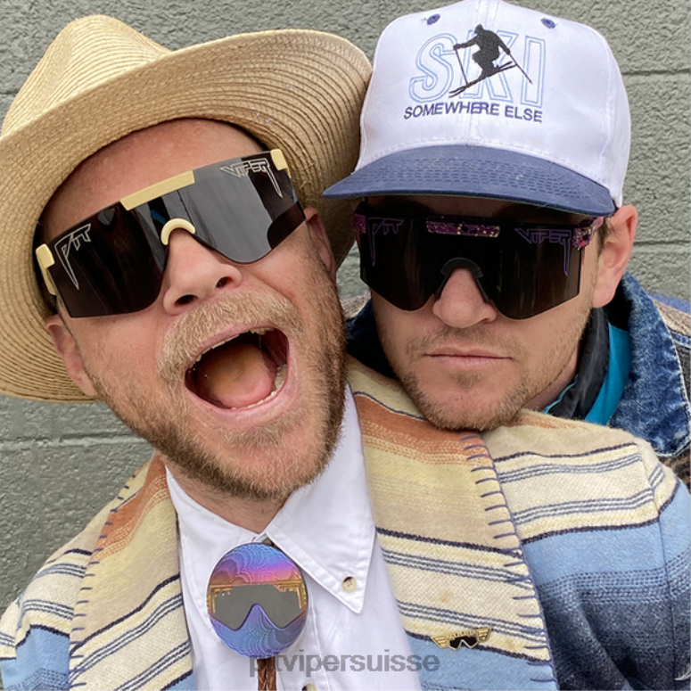 vipère suisse 8L2Z6143 la tempête de sable des années 2000