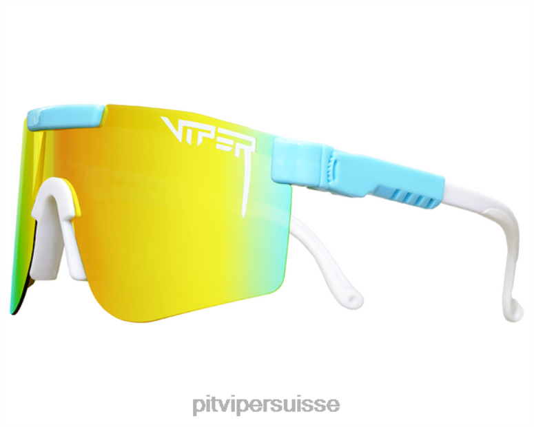 vipère suisse 8L2Z6146 le boulet de canon polarisé double largeur