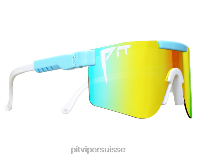 vipère suisse 8L2Z6146 le boulet de canon polarisé double largeur