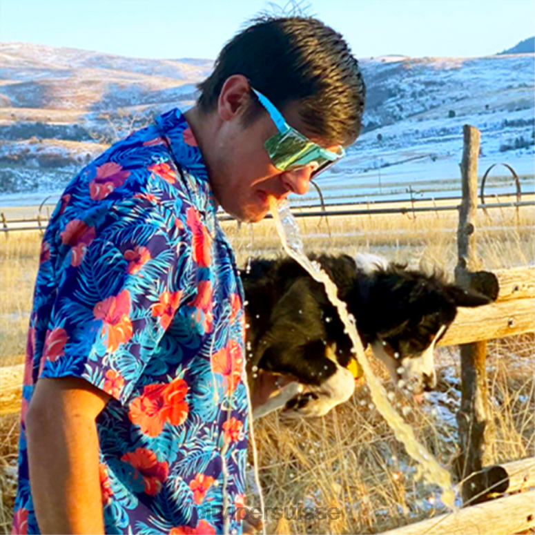 vipère suisse 8L2Z6146 le boulet de canon polarisé double largeur