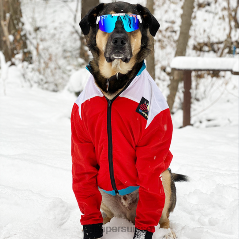 vipère suisse 8L2Z6148 les lunettes de soleil polarisées liberté absolue