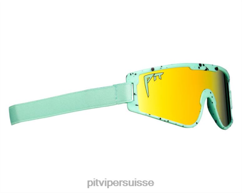 vipère suisse 8L2Z6159 les bébés vipes de poseidon