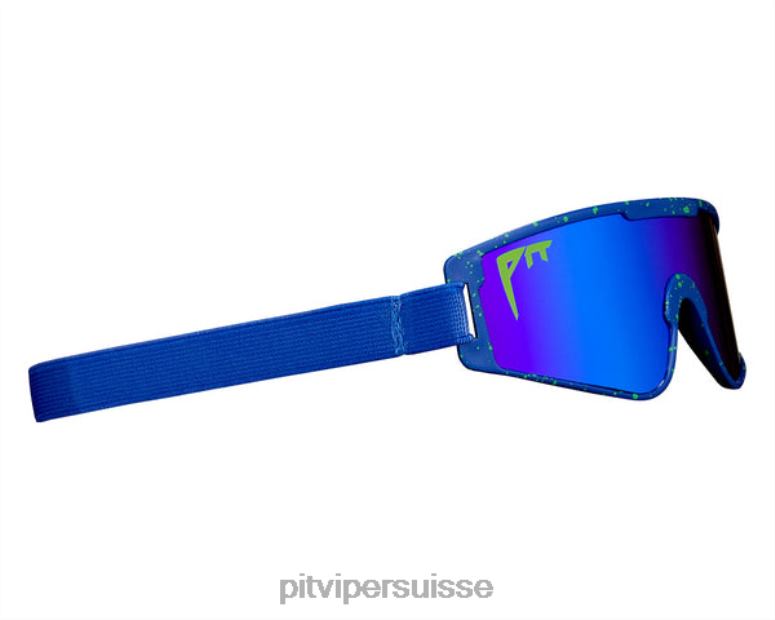 vipère suisse 8L2Z6160 les bébés vipes de leonardo