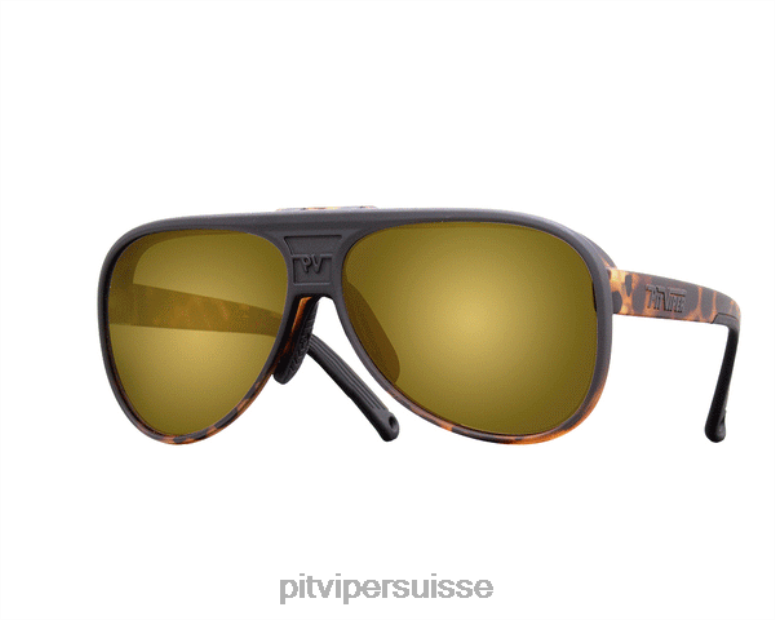 vipère suisse 8L2Z64 les décollages de la presqu'île