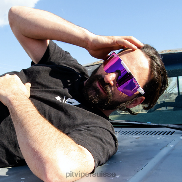 vipère suisse 8L2Z664 les la brights polarisés double largeur