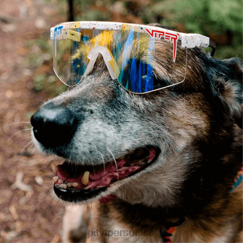 vipère suisse 8L2Z683 lunettes de soleil double large merika night shades