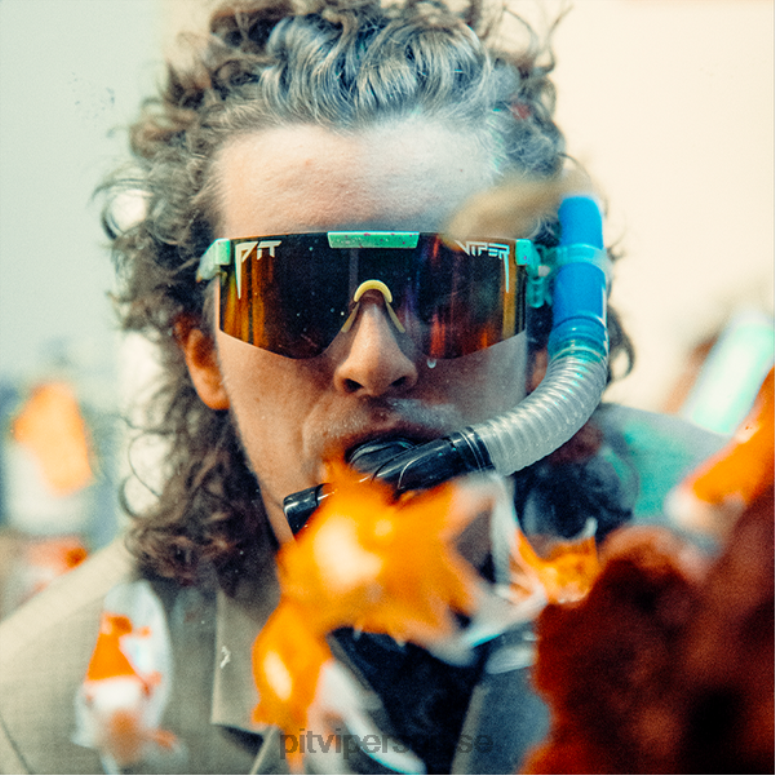 vipère suisse 8L2Z685 le compagnon de jeu polarisé des années 2000